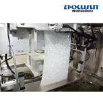 FIP-01A-II Full Automatic Ice Packaging