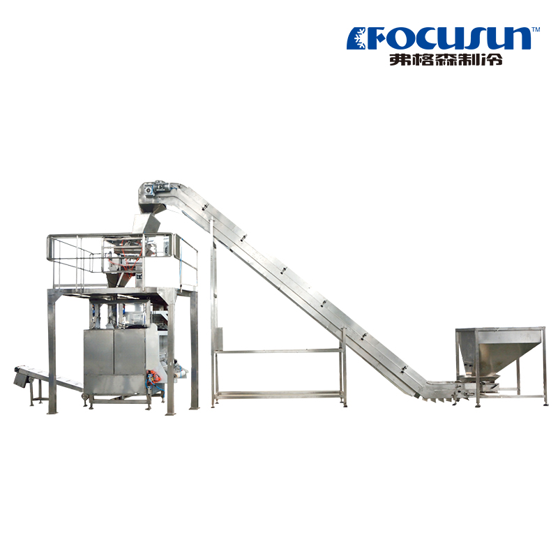 FIP-01A-II Full Automatic Ice Packaging